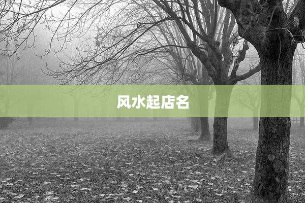风水起店名