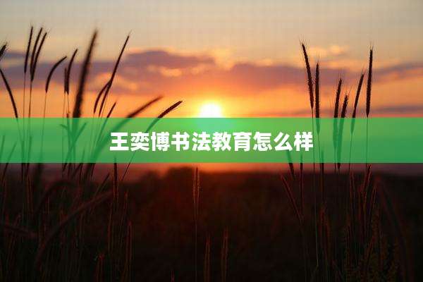 王奕博书法教育怎么样