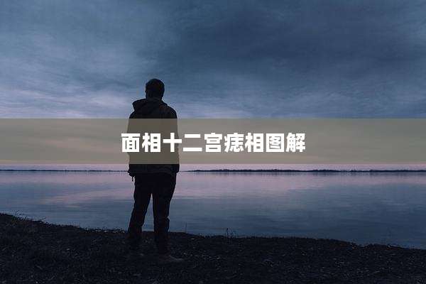 面相十二宫痣相图解