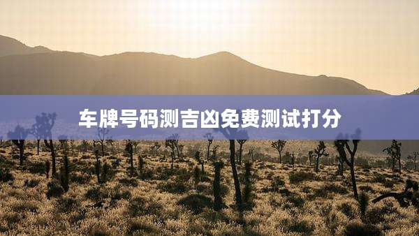 车牌号码测吉凶免费测试打分