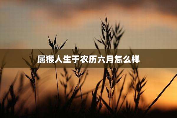 属猴人生于农历六月怎么样