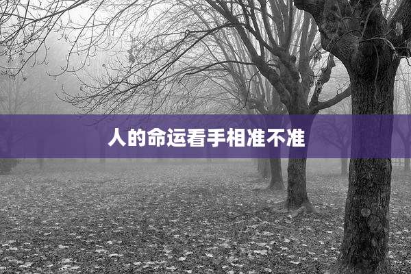 人的命运看手相准不准