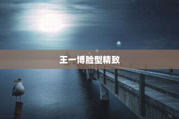 王一博脸型精致