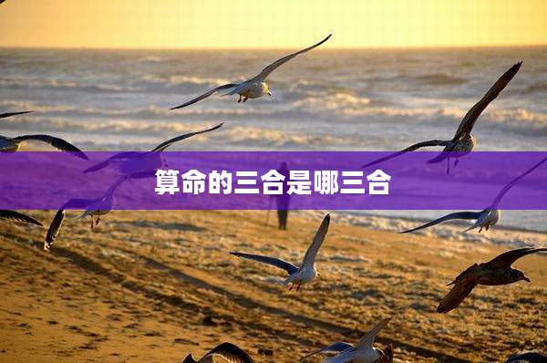 算命的三合是哪三合