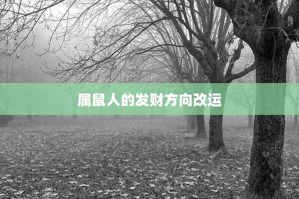 属鼠人的发财方向改运