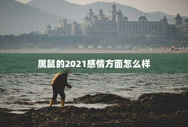 属鼠的2021感情方面怎么样
