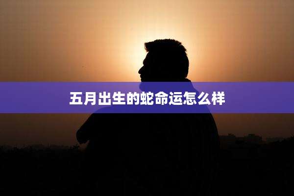 五月出生的蛇命运怎么样