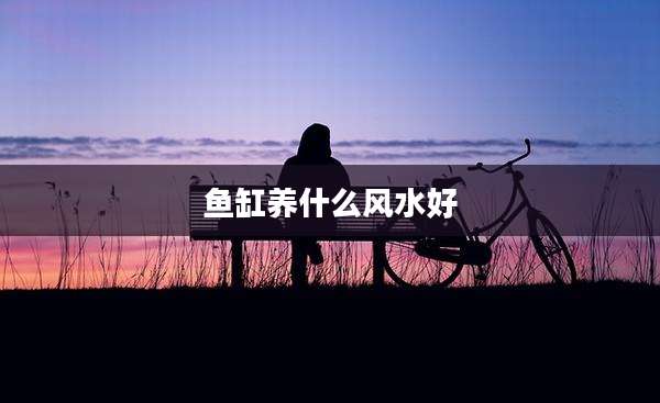 鱼缸养什么风水好