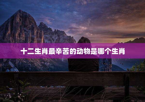 十二生肖最辛苦的动物是哪个生肖