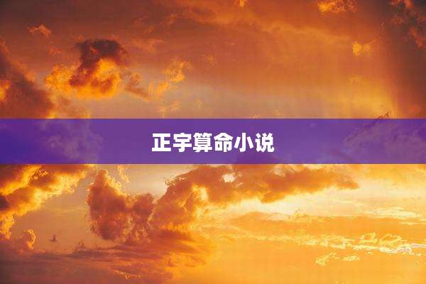 正宇算命小说
