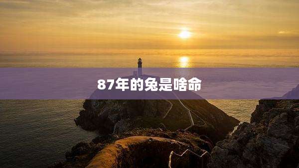 87年的兔是啥命