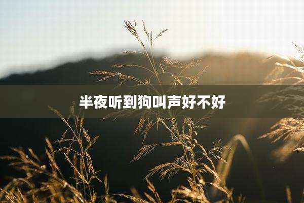 半夜听到狗叫声好不好