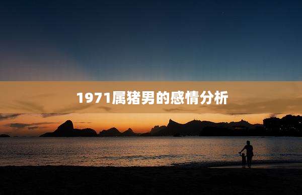 1971属猪男的感情分析