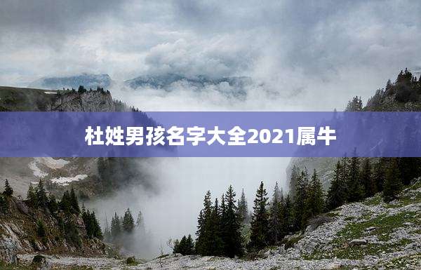 杜姓男孩名字大全2021属牛