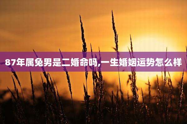87年属兔男是二婚命吗,一生婚姻运势怎么样