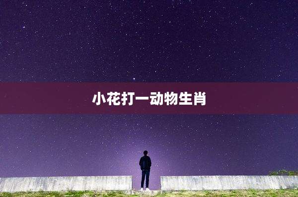 小花打一动物生肖