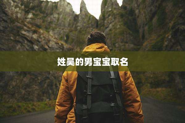姓吴的男宝宝取名