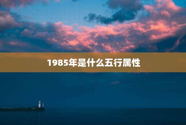 1985年是什么五行属性