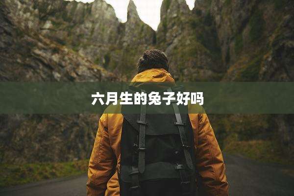 六月生的兔子好吗
