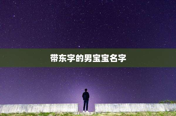 带东字的男宝宝名字