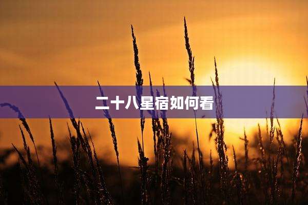 二十八星宿如何看
