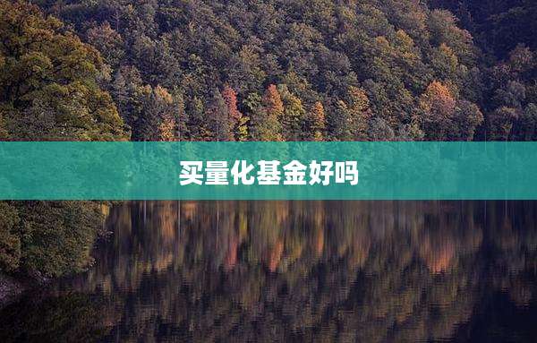 买量化基金好吗