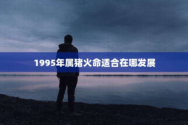 1995年属猪火命适合在哪发展