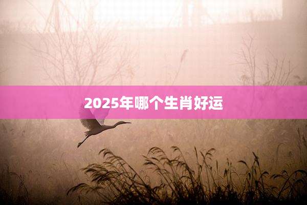 2025年哪个生肖好运