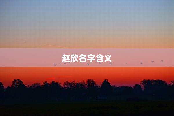 赵欣名字含义