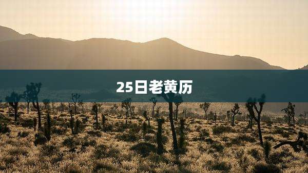25日老黄历