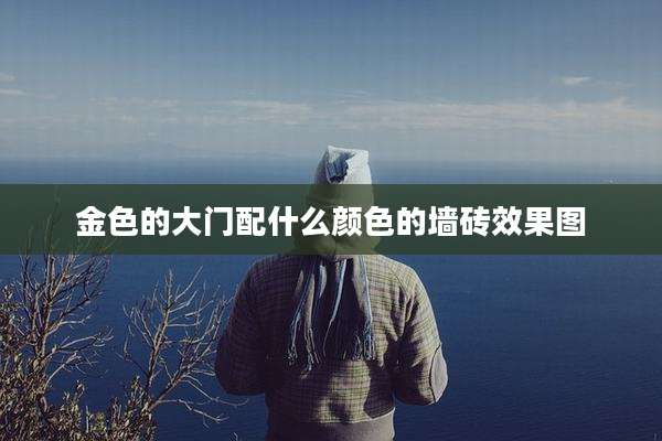 金色的大门配什么颜色的墙砖效果图
