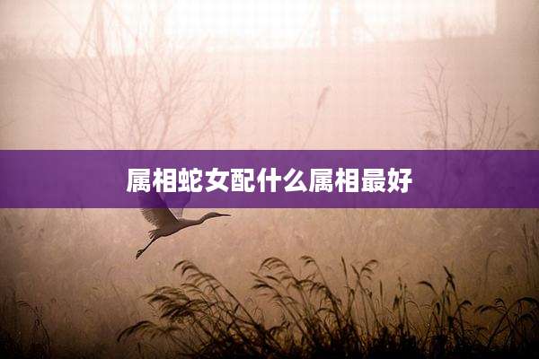 属相蛇女配什么属相最好