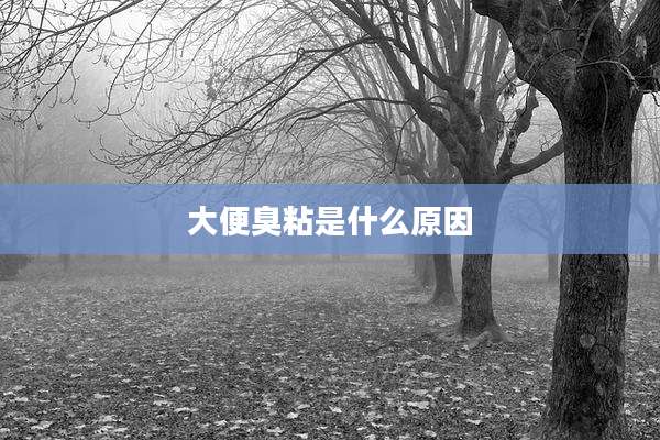 大便臭粘是什么原因