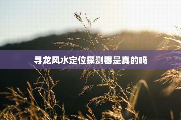 寻龙风水定位探测器是真的吗