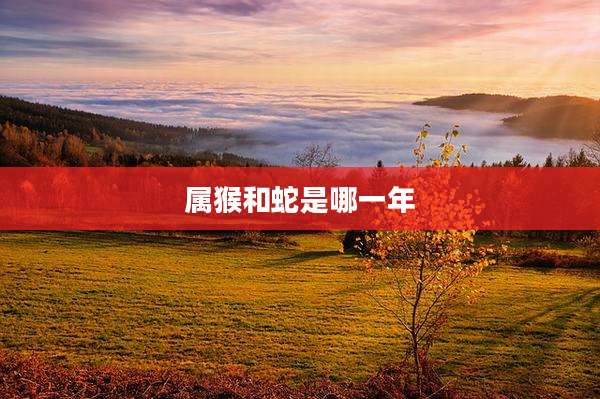 属猴和蛇是哪一年