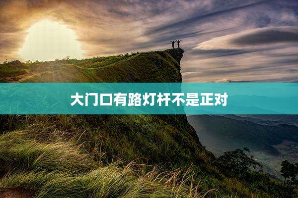大门口有路灯杆不是正对