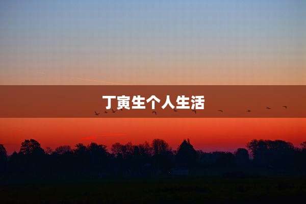 丁寅生个人生活