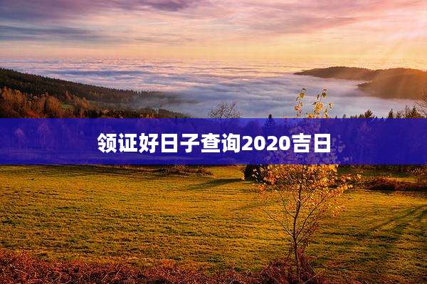 领证好日子查询2020吉日