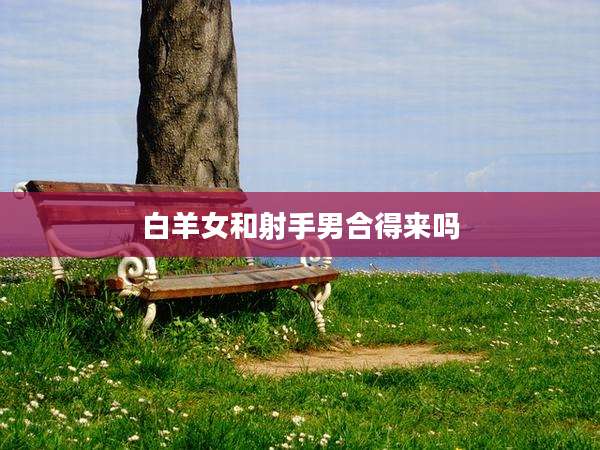 白羊女和射手男合得来吗
