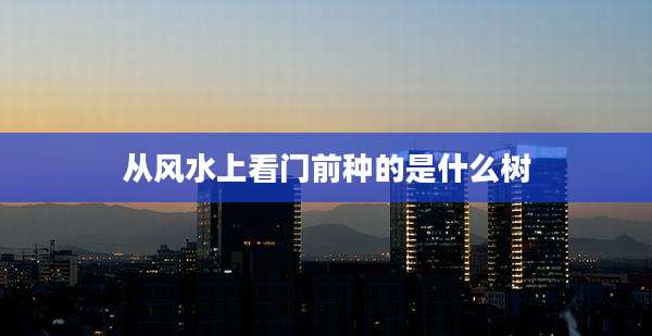 从风水上看门前种的是什么树