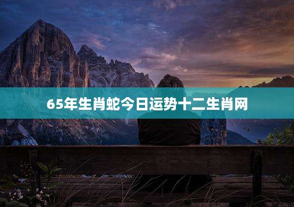 65年生肖蛇今日运势十二生肖网