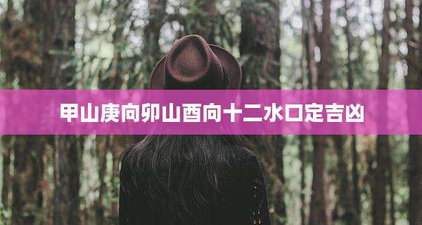 甲山庚向卯山酉向十二水口定吉凶