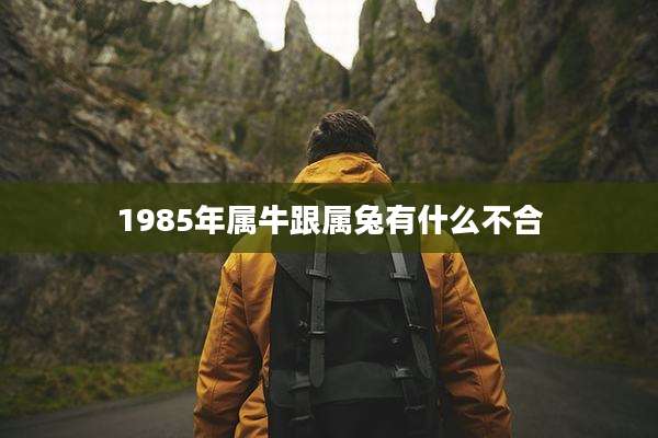 1985年属牛跟属兔有什么不合