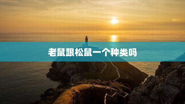 老鼠跟松鼠一个种类吗