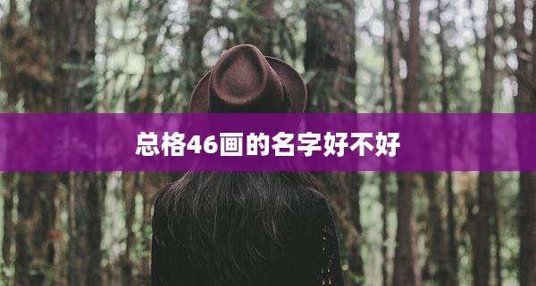 总格46画的名字好不好