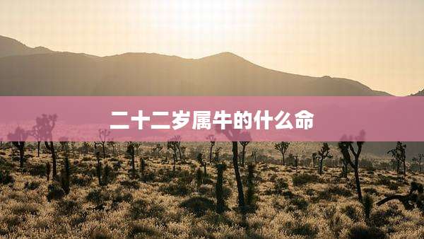 二十二岁属牛的什么命