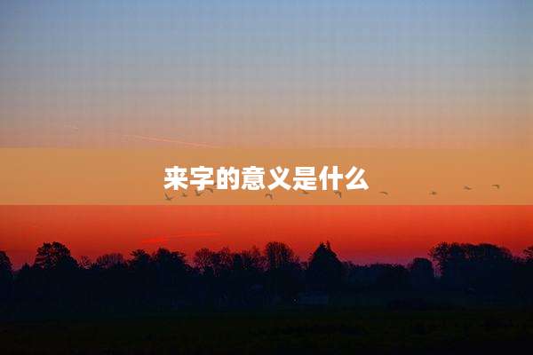 来字的意义是什么