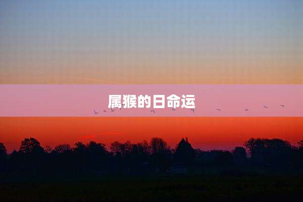 属猴的日命运