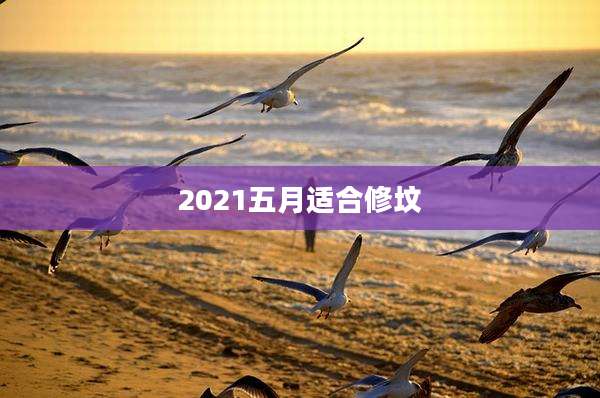 2021五月适合修坟