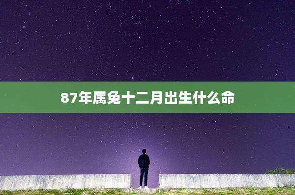 87年属兔十二月出生什么命